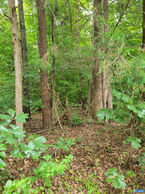 0 Jennings Dr, Palmyra, VA 22963