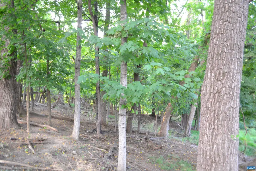 319 Alleghany Ave, Staunton, VA 24401 - #3