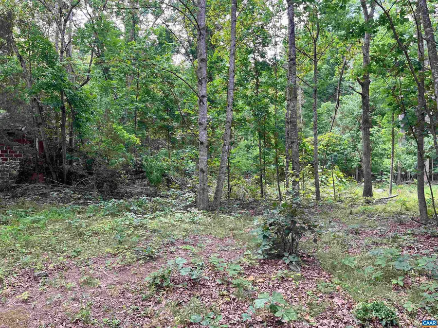 8295 Black Walnut Run Rd, Rhoadesville, VA 22542 - #2