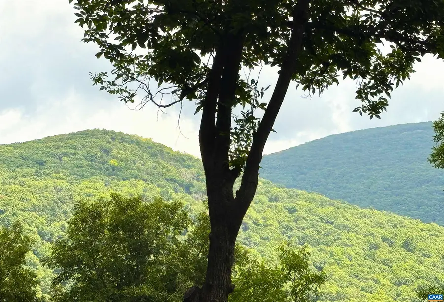 867 Shamokin Springs Trl, Wintergreen, VA 22967 - #2
