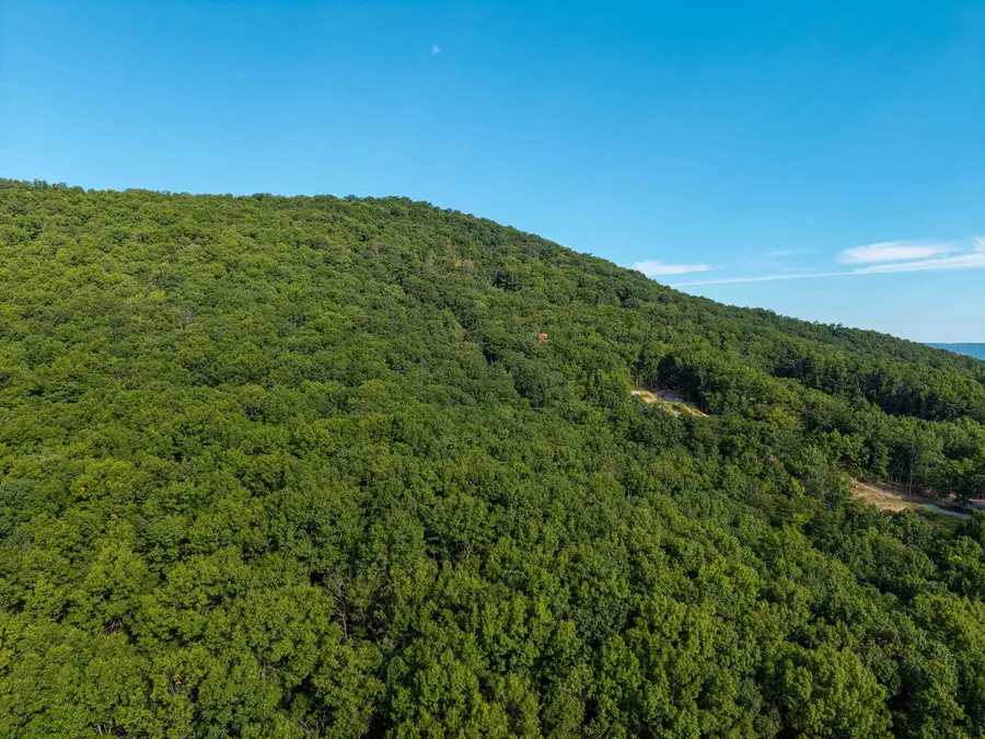 0 Roundhead Mountain Rd, Stanley, VA 22851 - #2