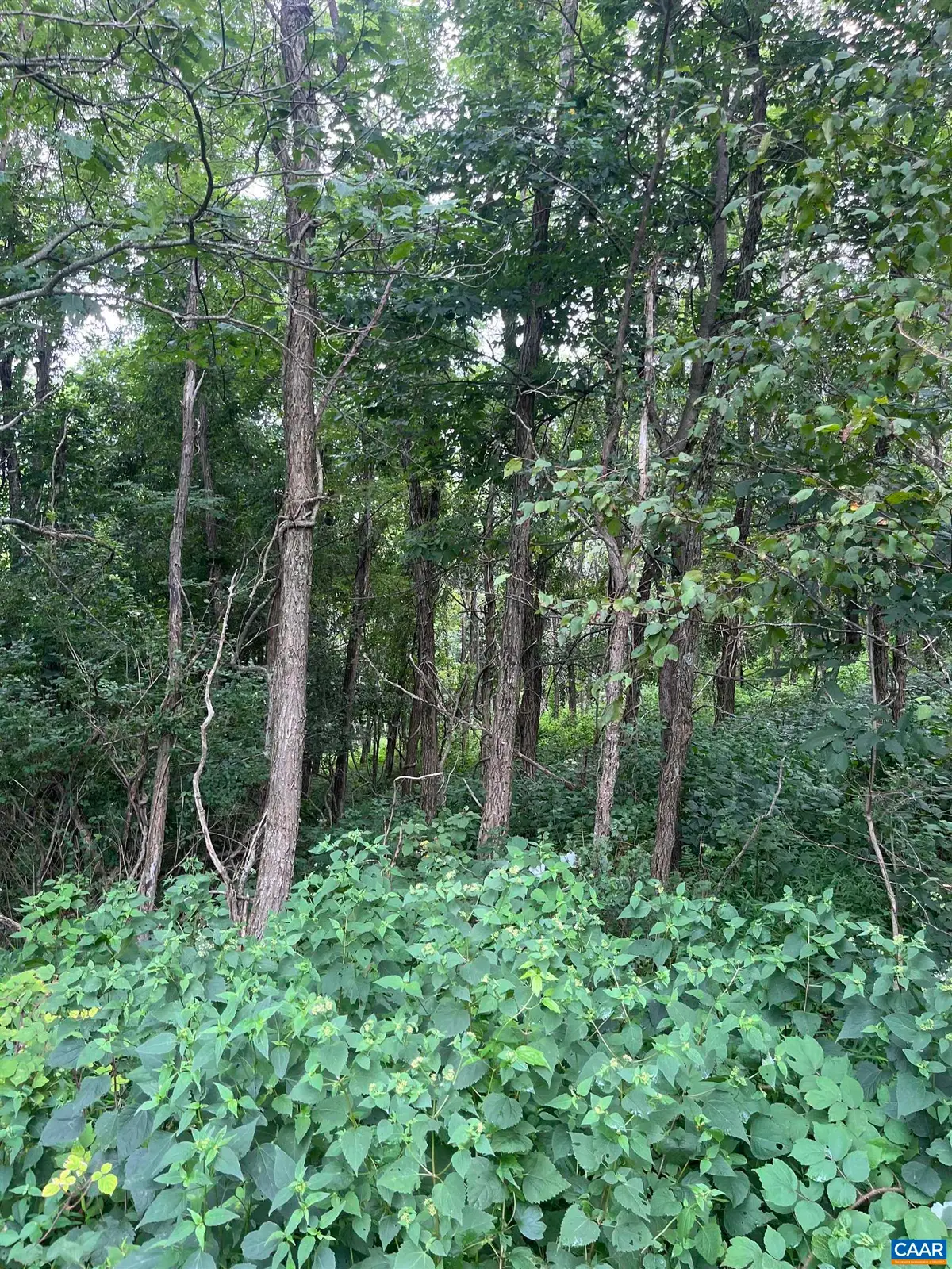 TBD Raven Way, Free Union, VA 22940 - #1