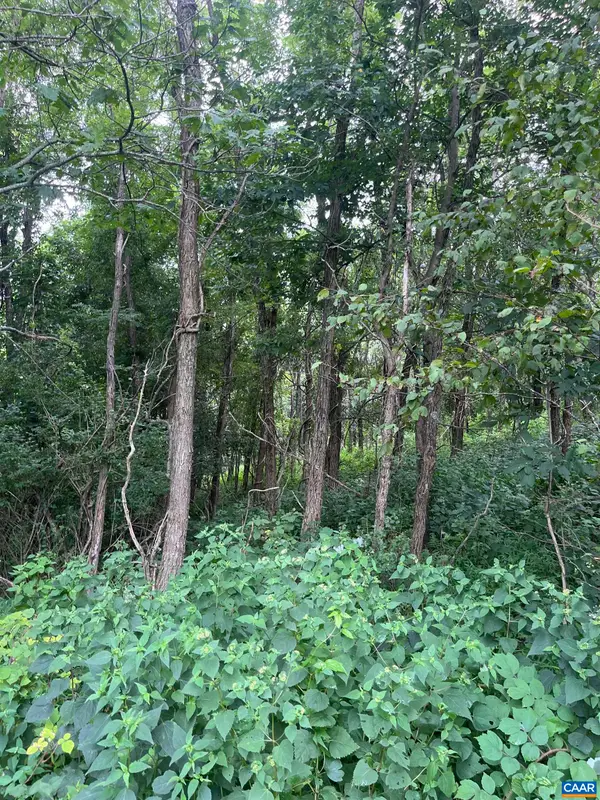 TBD Raven Way, Free Union, VA 22940