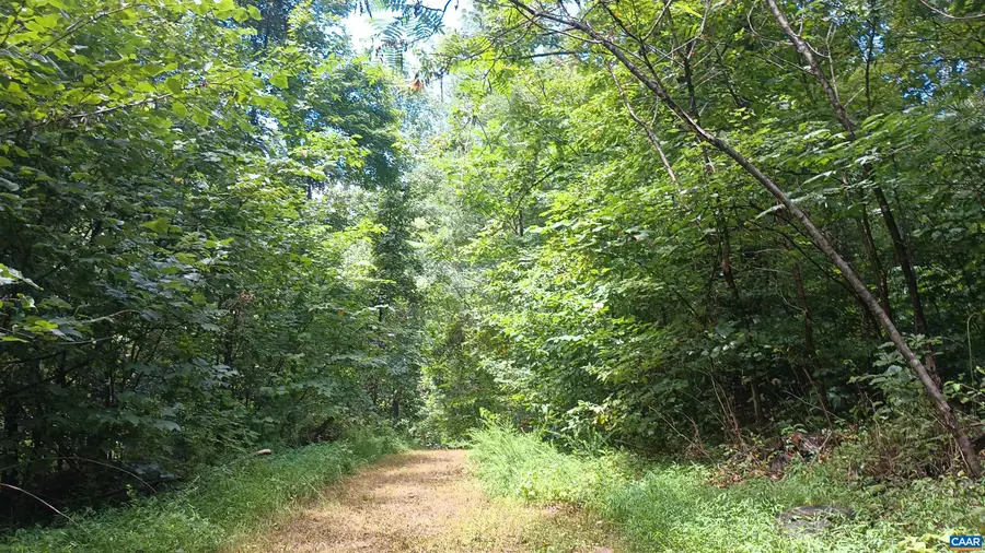 0 Battery Hill Ln, Tyro, VA 22976 - #3