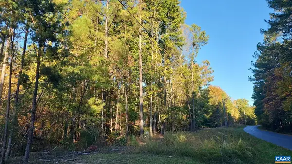TBD Penlan Rd, New Canton, VA 23123