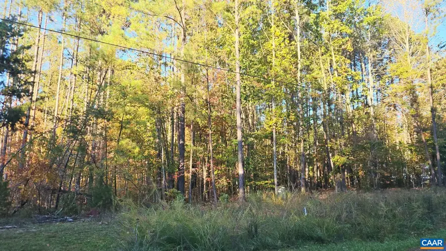 TBD Penlan Rd, New Canton, VA 23123 - #2