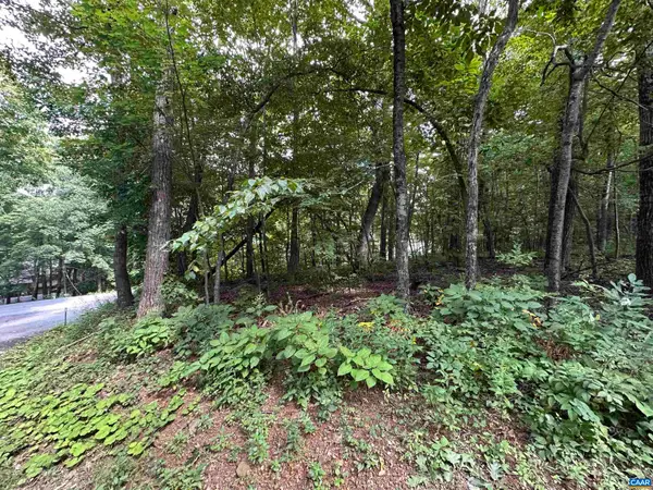 11 Fairway Oaks Ln, Wintergreen Resort, VA 22967