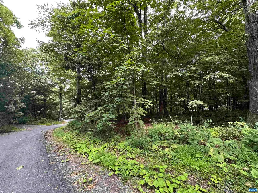 11 Fairway Oaks Ln, Wintergreen Resort, VA 22967 - #2