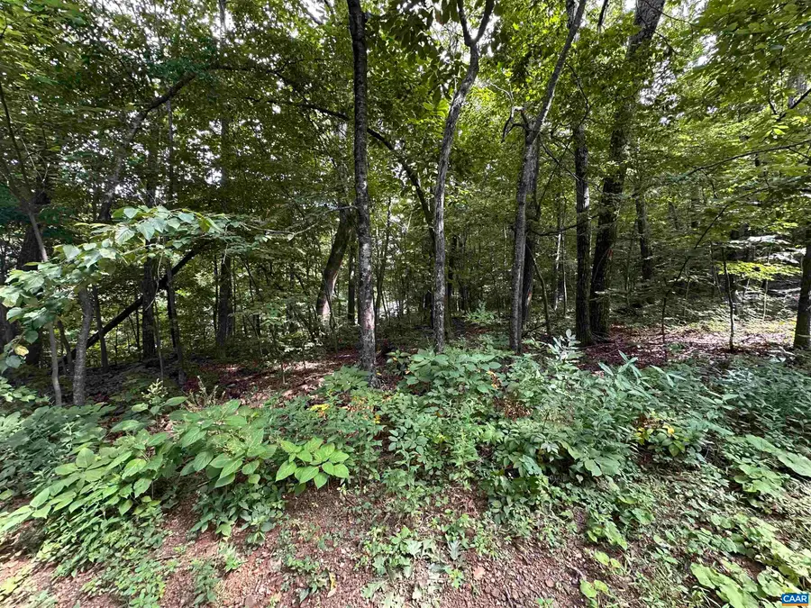 11 Fairway Oaks Ln, Wintergreen Resort, VA 22967 - #3