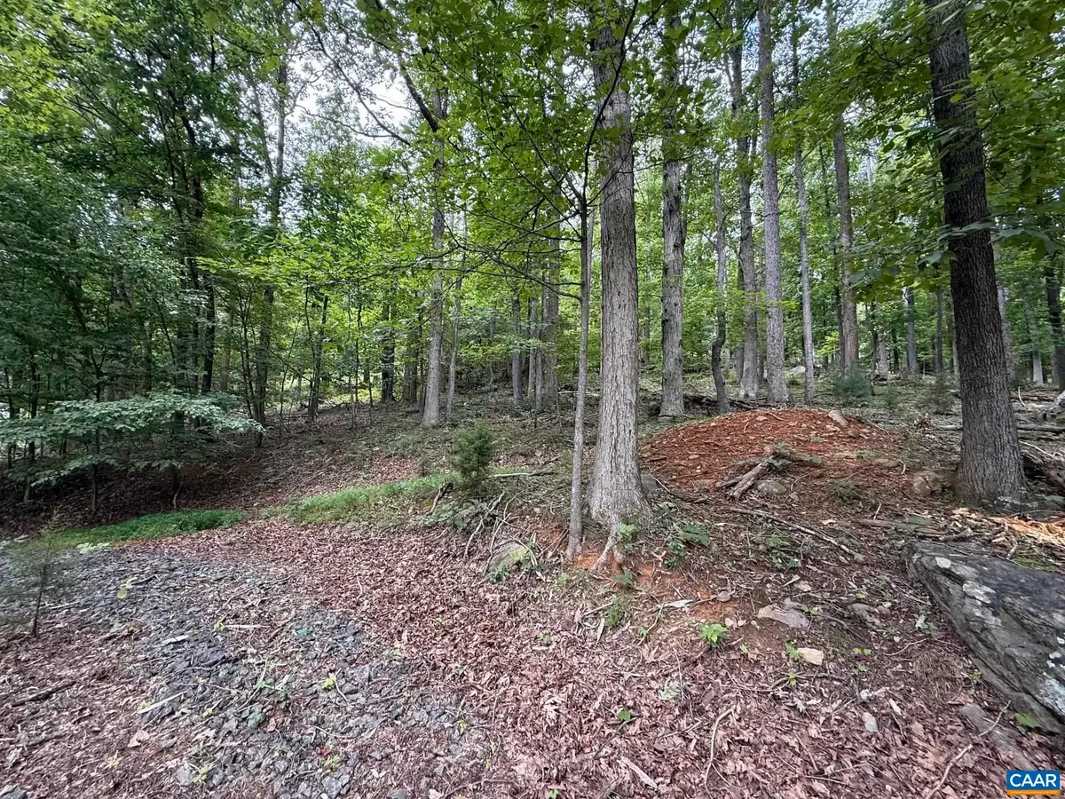 1283 Rodes Valley Dr, Nellysford, VA 22958 - #1