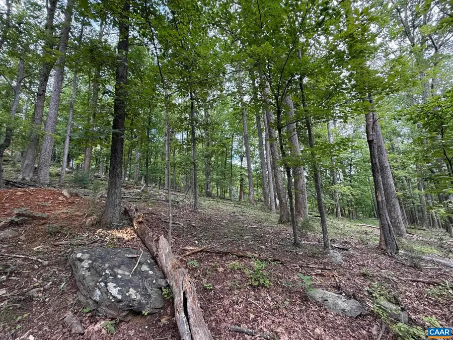 1283 Rodes Valley Dr, Nellysford, VA 22958 - #3