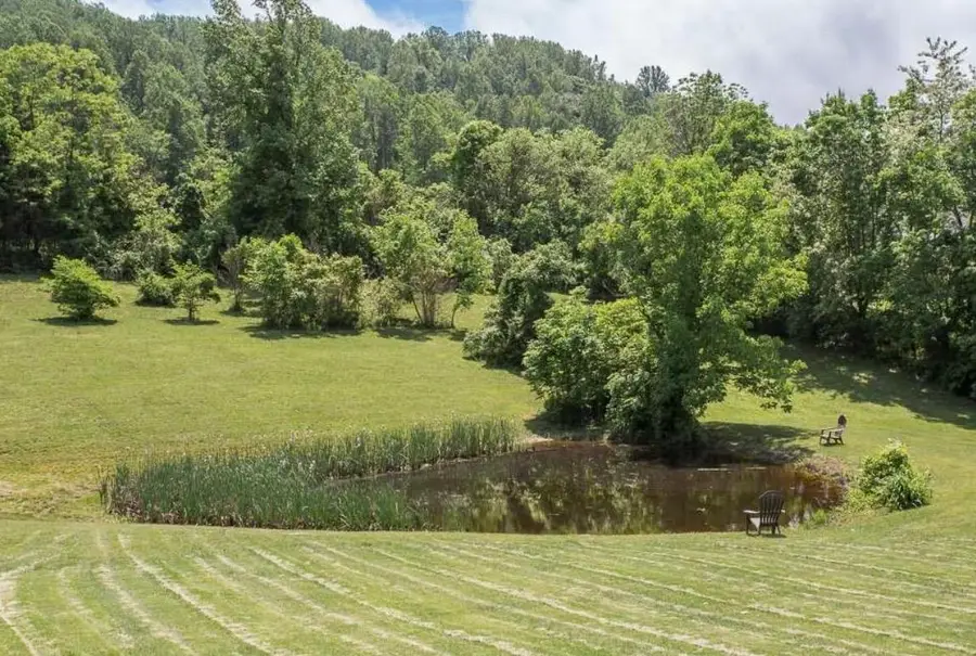 20448 Mt Pleasant Rd, Elkton, VA 22827 - #3