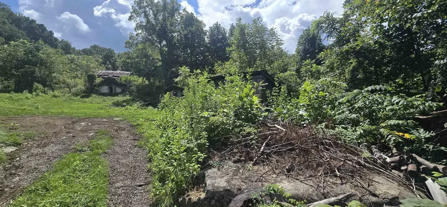 177 Ed B Dr, Narrows, VA 24124 - #2