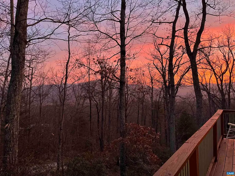 361 Rockfish Heights Ln, Nellysford, VA 22958 - #3
