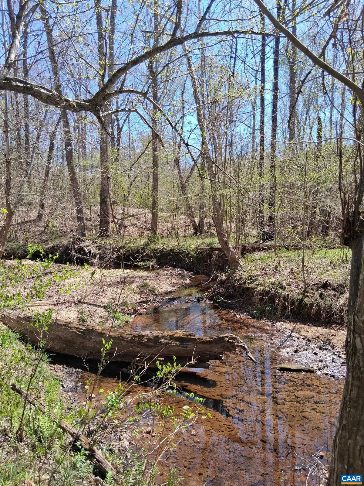 Lot 3 Ridge Rd, Palmyra, VA 22963 - #1