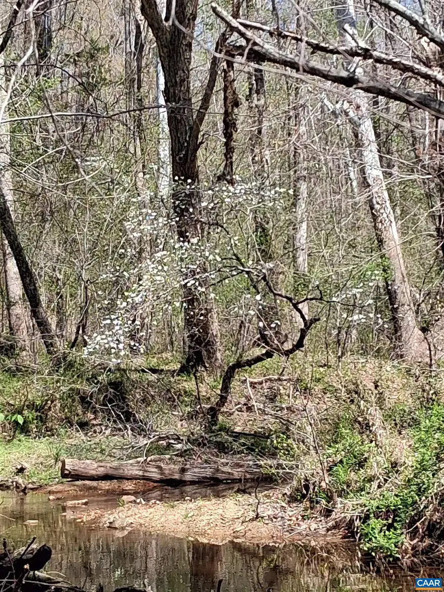 Lot 3 Ridge Rd, Palmyra, VA 22963 - #2