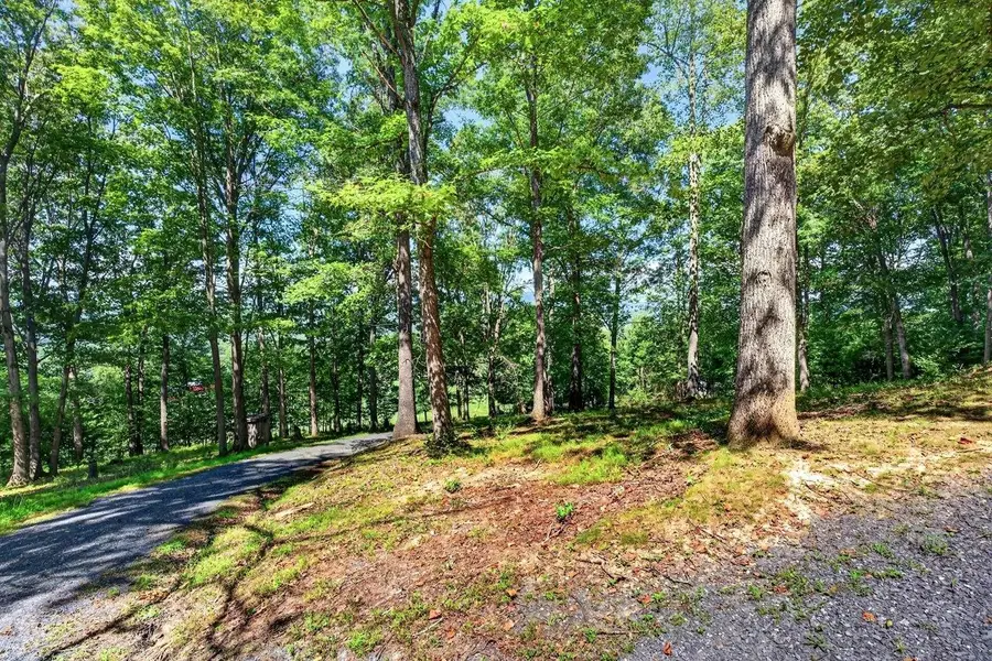1874 Troxel Gap Rd, Craigsville, VA 24430 - #3