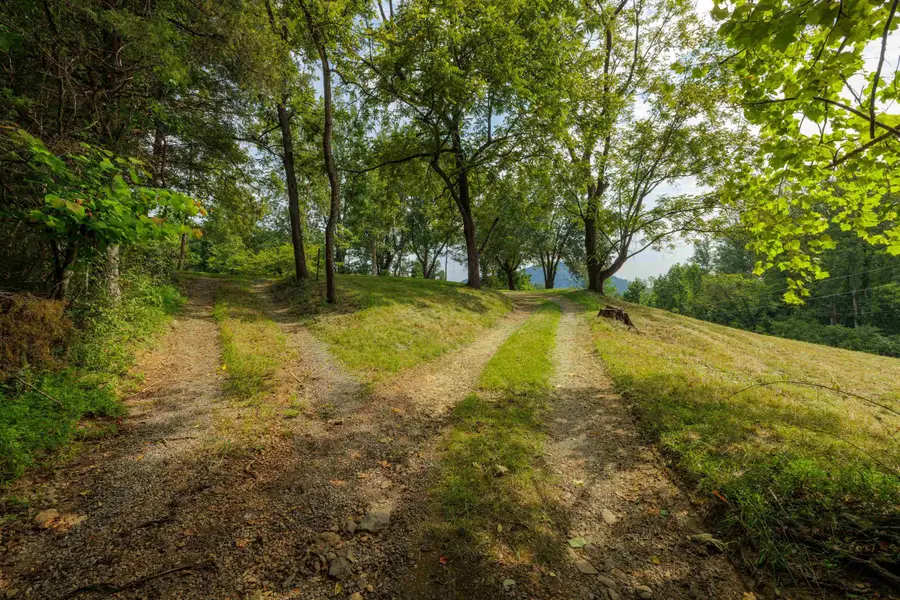 188 Pounding Branch Rd, Afton, VA 22920 - #3