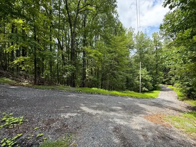 195 Friendly Ln, Stanley, VA 22851 - #3
