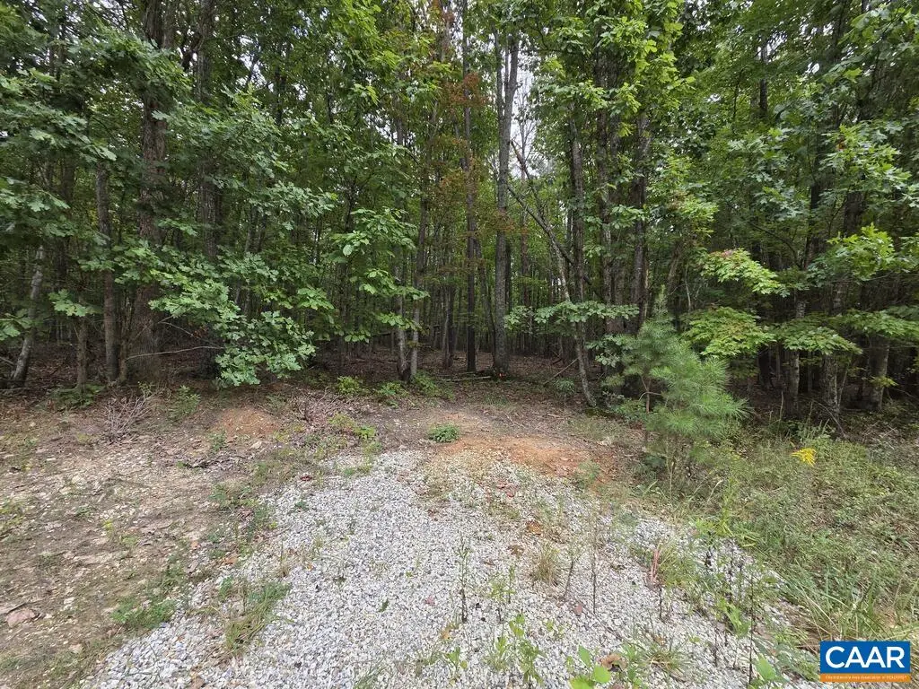 5.6 Ac Meadow Creek Rd, Wingina, VA 24599 - #1