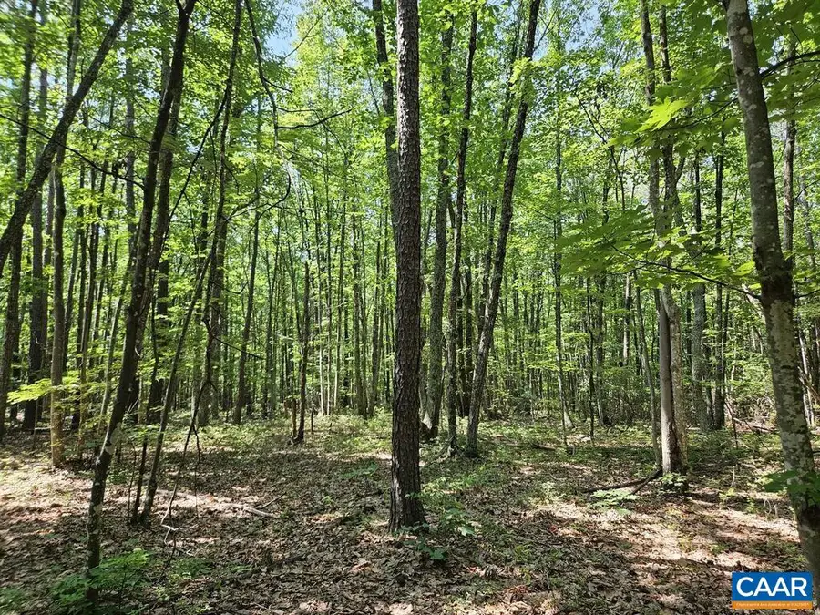 5.6 Ac Meadow Creek Rd, Wingina, VA 24599 - #2