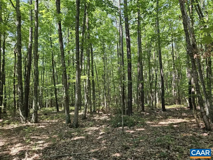 5.6 Ac Meadow Creek Rd, Wingina, VA 24599 - #3