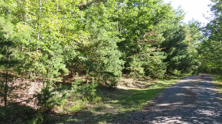 TBD Birds Nest Rd, Hinton, VA 22831 - #3