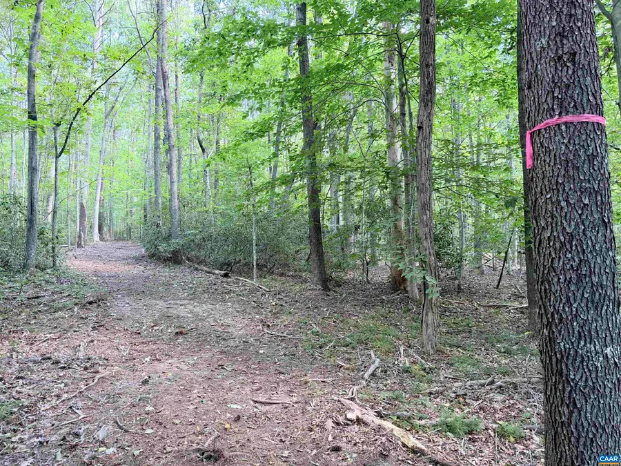 33 Piney Mountain Ln, Shipman, VA 22971 - #2