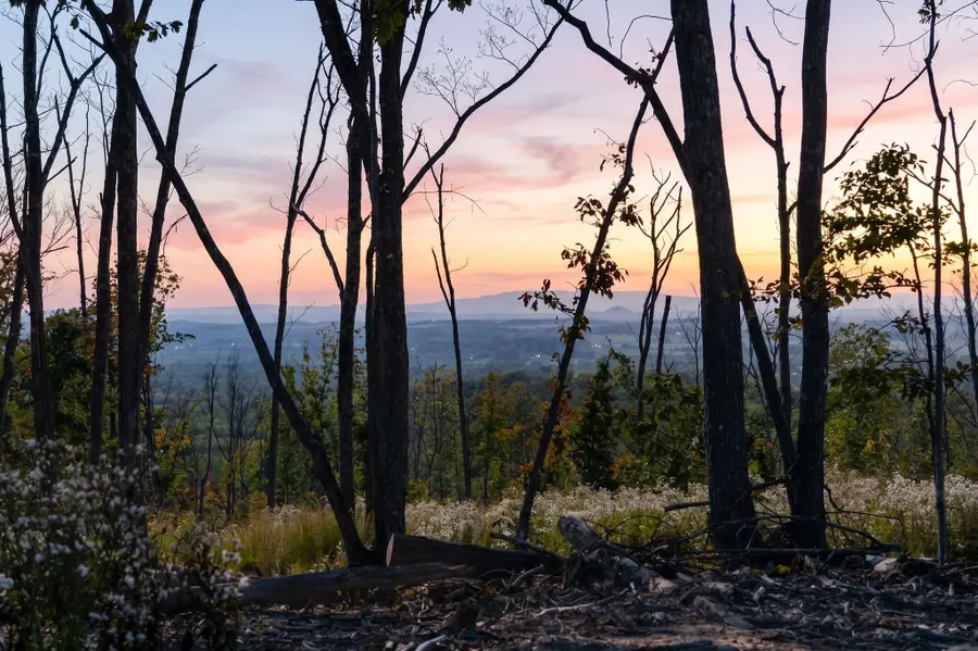 TBD Calf Mountain Rd, Waynesboro, VA 22980 - #2
