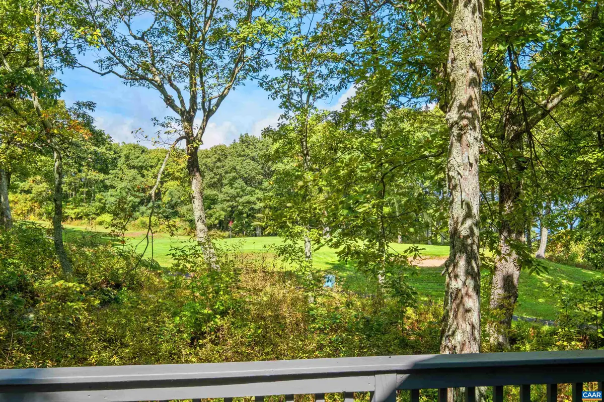 911 Devils Knob Loop, Wintergreen Resort, VA 22967 - #1