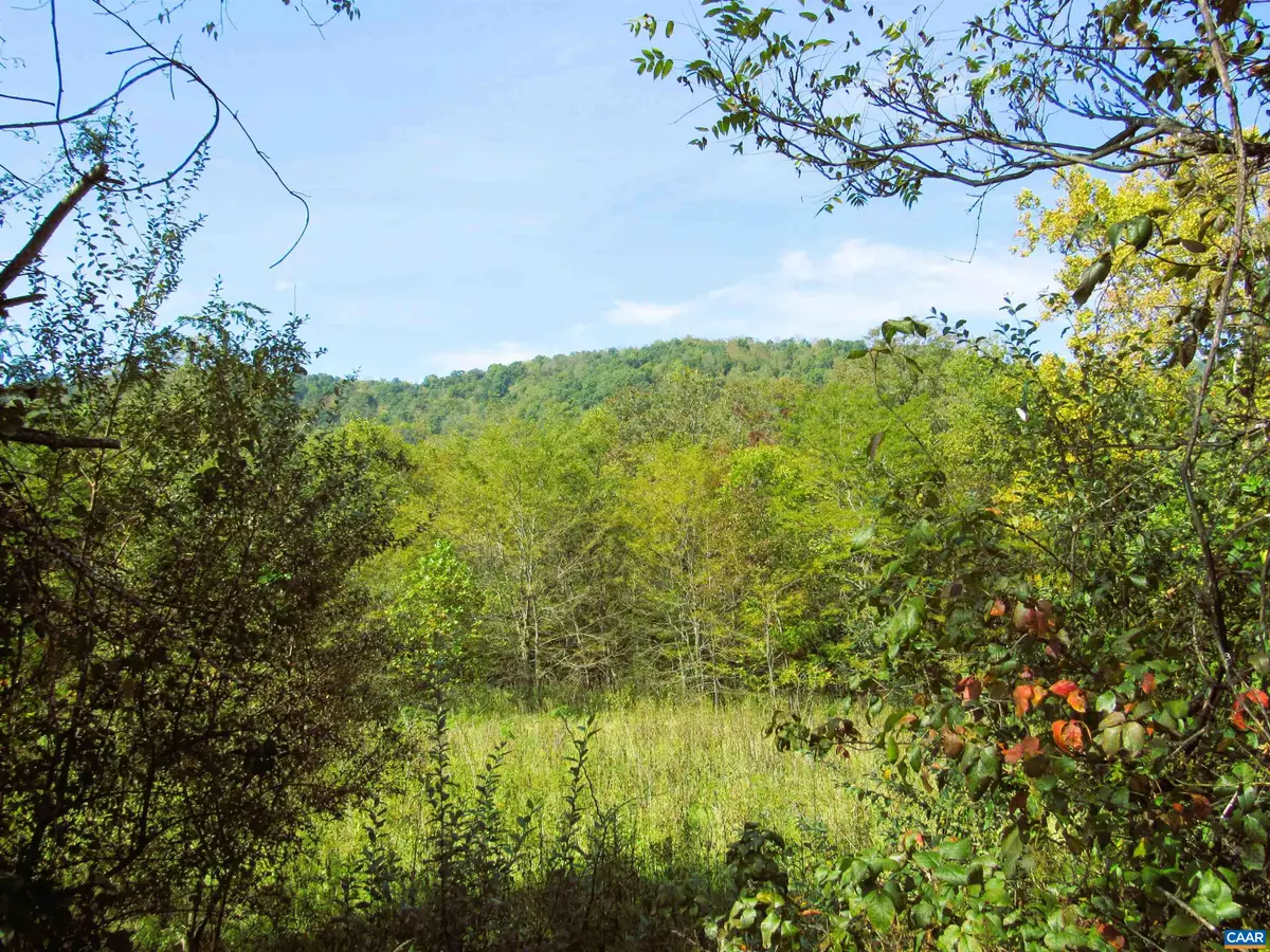 Fortunes Cove Ln, Lovingston, VA 22949 - #1