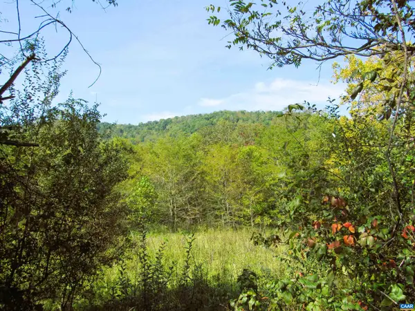 Fortunes Cove Ln, Lovingston, VA 22949