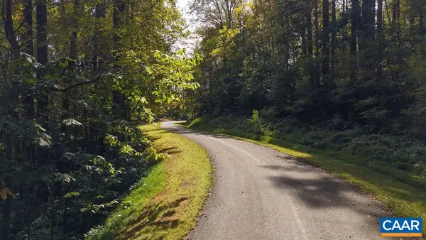 310 Stone Chimneys Rd, Nellysford, VA 22958
