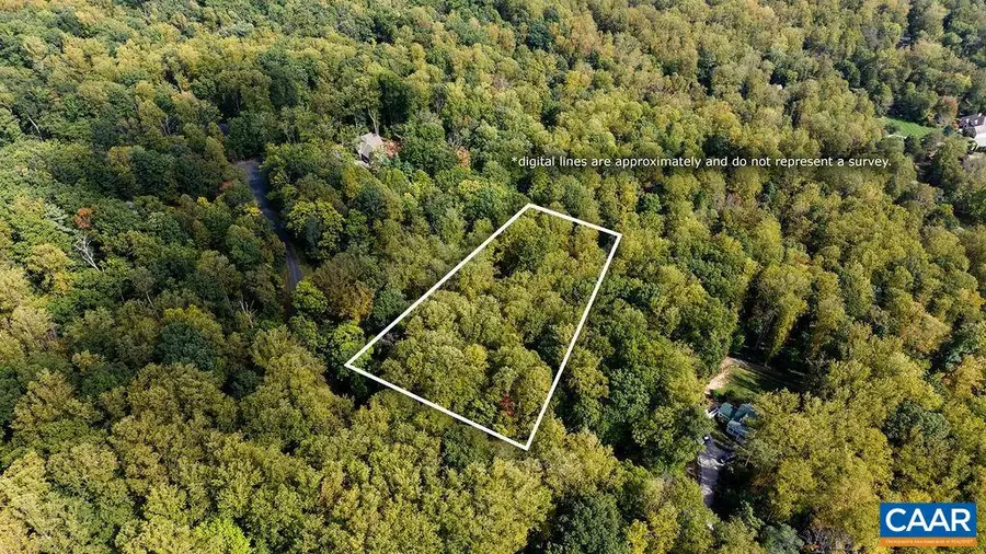 310 Stone Chimneys Rd, Nellysford, VA 22958 - #2
