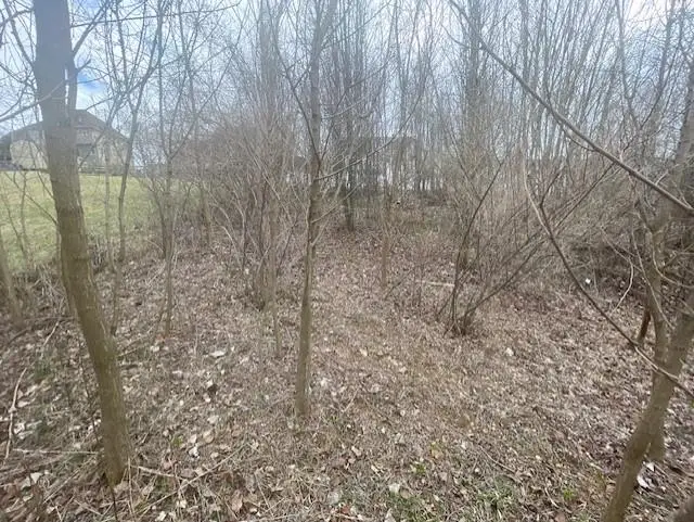 0 Long Meadow Rd, Fishersville, VA 22939 - #1