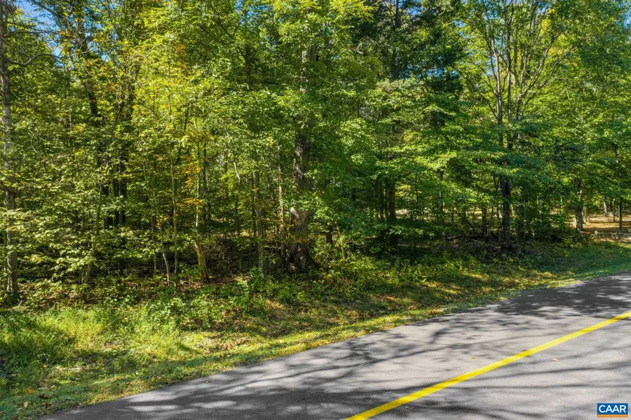 882 Stoney Creek West, Nellysford, VA 22958 - #3