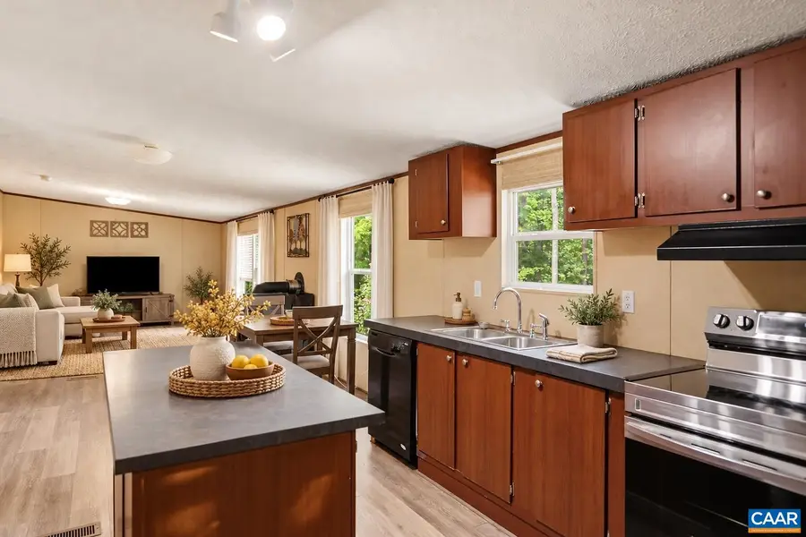 682 Piney Mountain Ln, Shipman, VA 22971 - #3