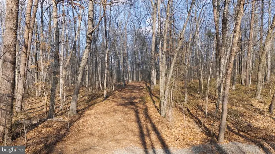 Roberts Lane Ln, Rixeyville, VA 22737 - #3