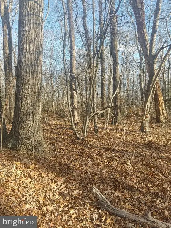 Rixeyville Rd. Rte 229, Adj To Lot 1, Culpeper, VA 22701 - Image #2