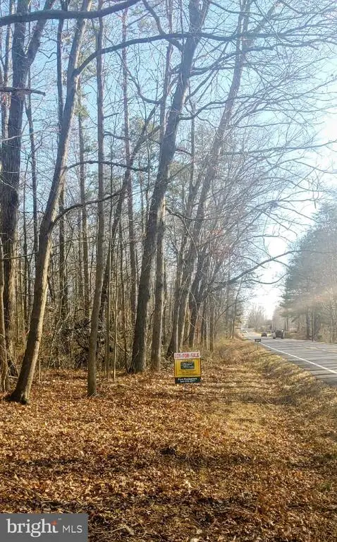 Rixeyville Rd. Rte 229, Adj To Lot 1, Culpeper, VA 22701 - Image #3