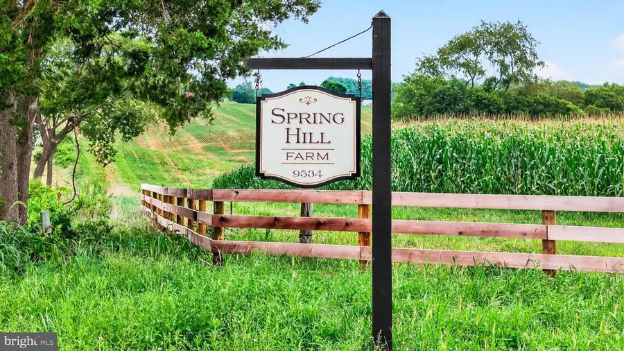 9534 Spring Hill, Rixeyville, VA 22737 - #2