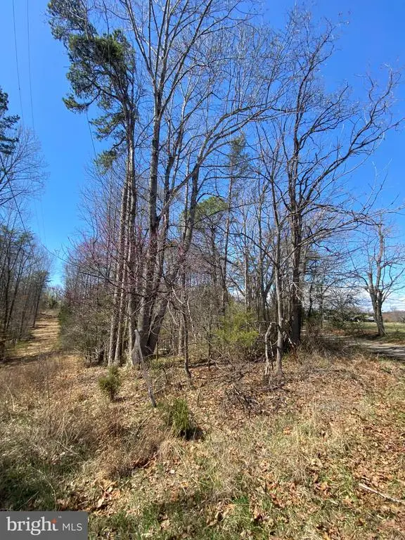 8424 Kilby Rd, Culpeper, VA 22701 - #3