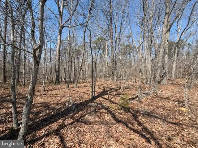 Countryside Lane - Lot 1, Lignum, VA 22726 - #1