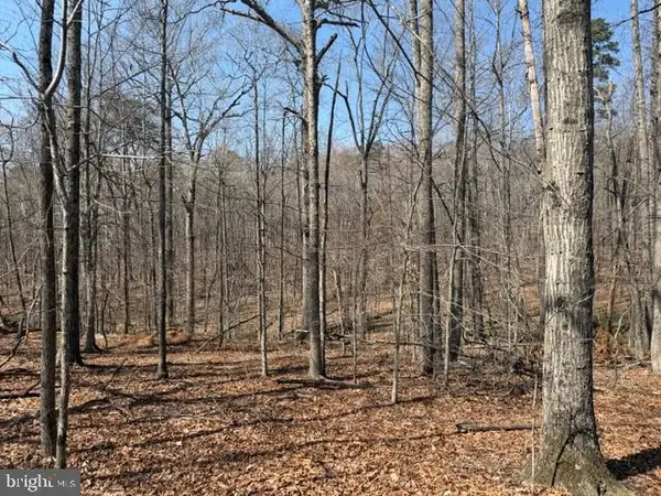 Countryside Lane - Lot 3, Lignum, VA 22726