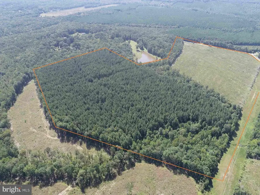 Community House Road (tract: Jr Ragland-holland-2), Columbia, VA 23038 - #3