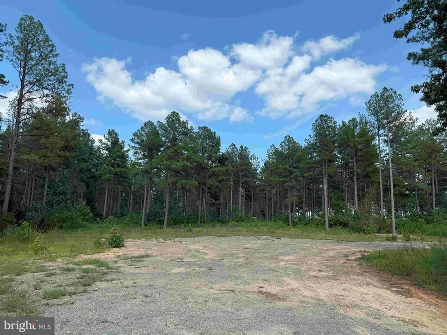 Holland Road (tract: Jr Bedford-bowles_sims-2), Columbia, VA 23038 - #2