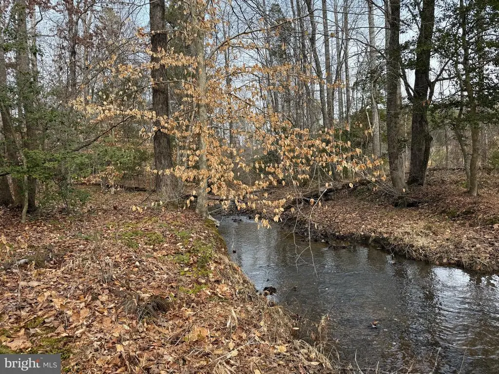 Community House Rd, Kents Store, VA 23084 - #1