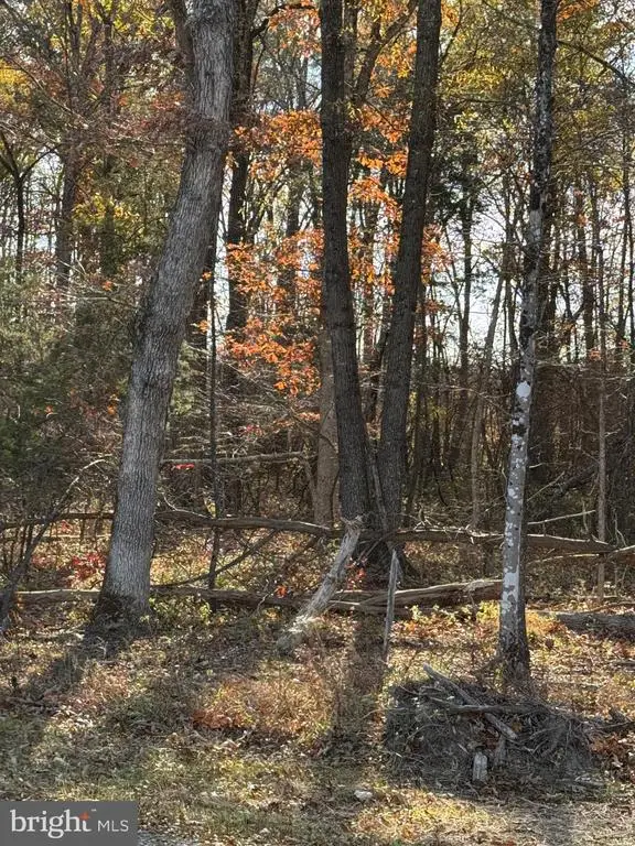 0 Baines Corner Road, Bealeton, VA  - #2