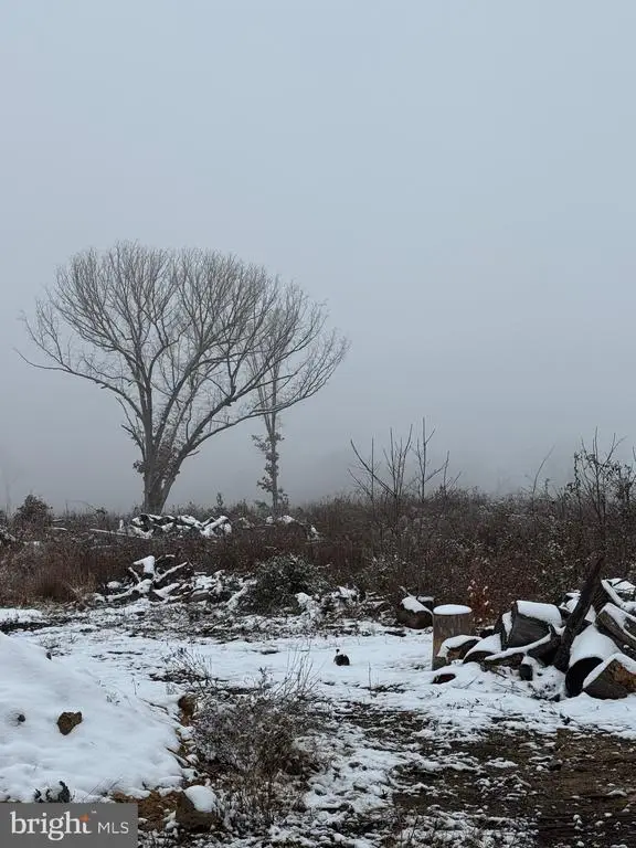 0 Old Mill Rd, Midland, VA  - Image #2