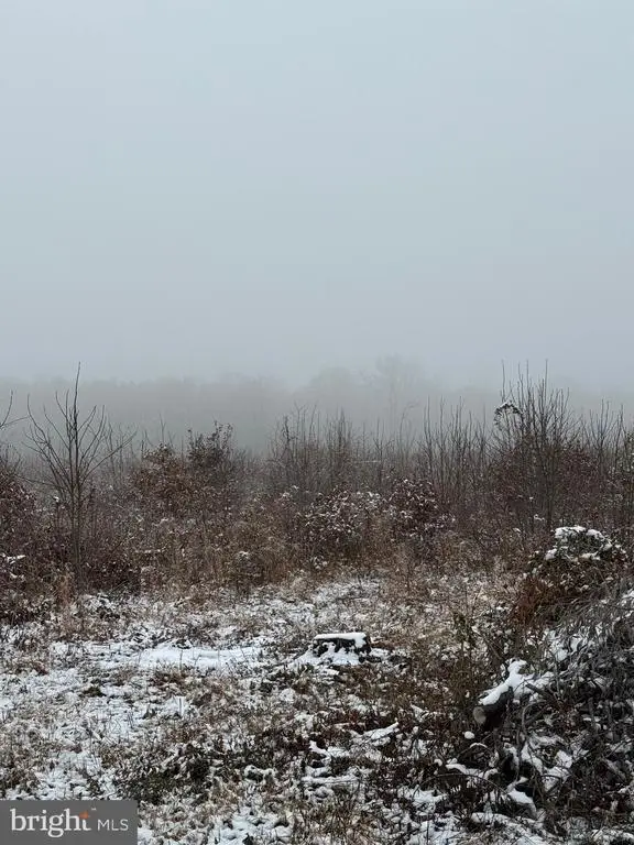 0 Old Mill Rd, Midland, VA  - Image #3